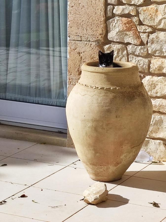 Alimede Apartman Santa Croce Camerina Kültér fotó